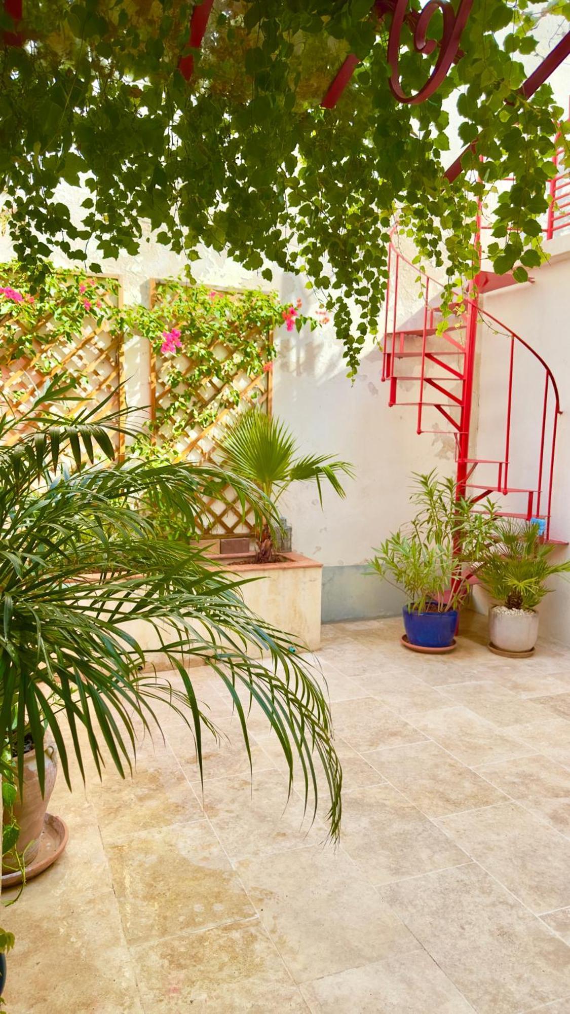 Gite Avignon Bougainvillier المظهر الخارجي الصورة